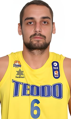 Elvis Cekic