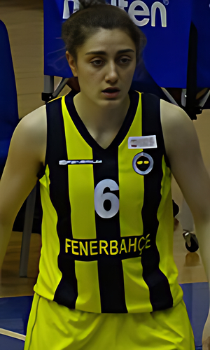 Merve Ari