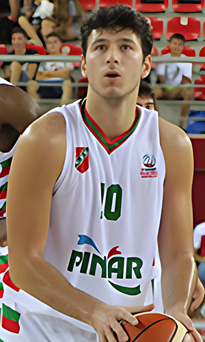 Berke Aygunduz