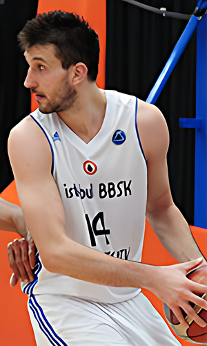 Stefan Bircevic