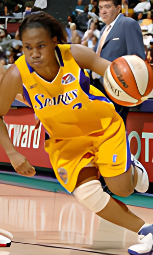 Temeka Johnson basketball Temeka Johnson