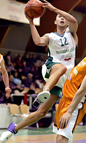 Nebojsa Joksimovic