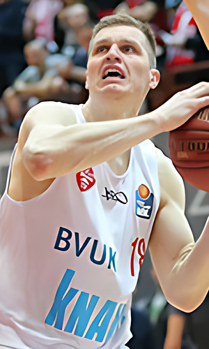 Vytenis Lipkevicius