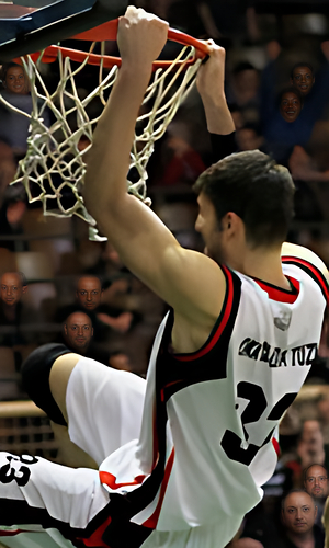 Ratko Petric