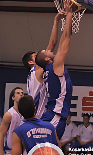Branislav Radak