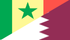 Senegalese-Qatari