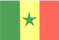 Senegalese