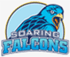 team-logo