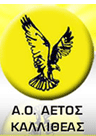 team-logo