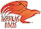 team-logo