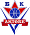 team-logo