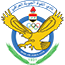 team-logo