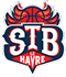 team-logo