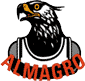 team-logo