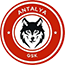 team-logo
