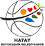 team-logo