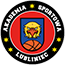 team-logo