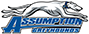 team-logo