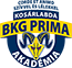 team-logo
