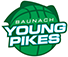team-logo