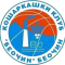 team-logo