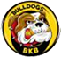 team-logo