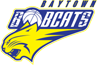 team-logo team-logo