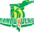 team-logo