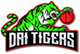 team-logo