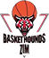 team-logo
