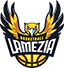 team-logo