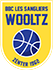 team-logo