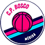 team-logo