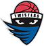 team-logo