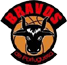 team-logo