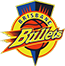 team-logo2
