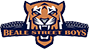 team-logo