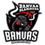 team-logo