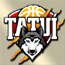 team-logo