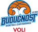 team-logo
