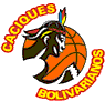 team-logo