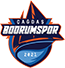 team-logo