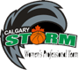 team-logo