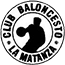 team-logo team-logo