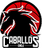 team-logo
