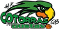 team-logo