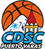 team-logo