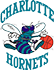 team-logo team-logo
