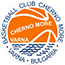team-logo team-logo