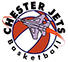 team-logo